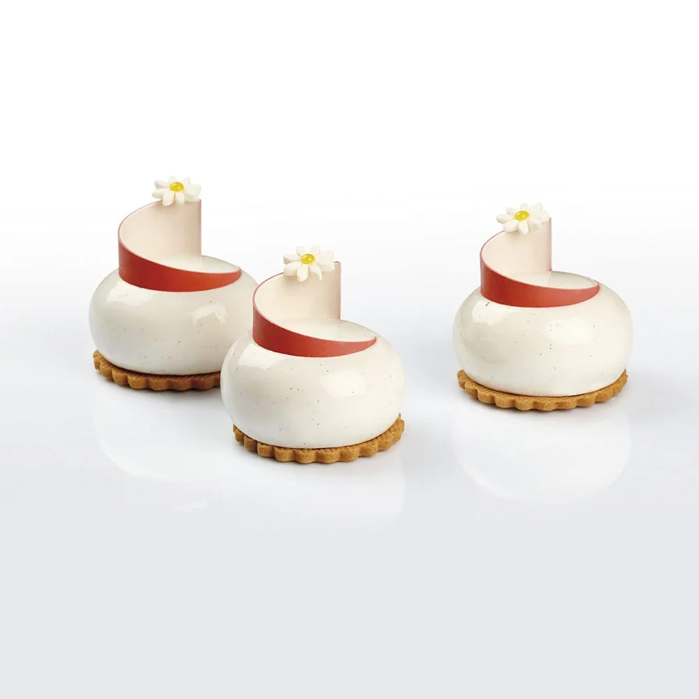 Pavoni 3D Pavoflex silicone mould 400x300 PX4321S PLANET 93