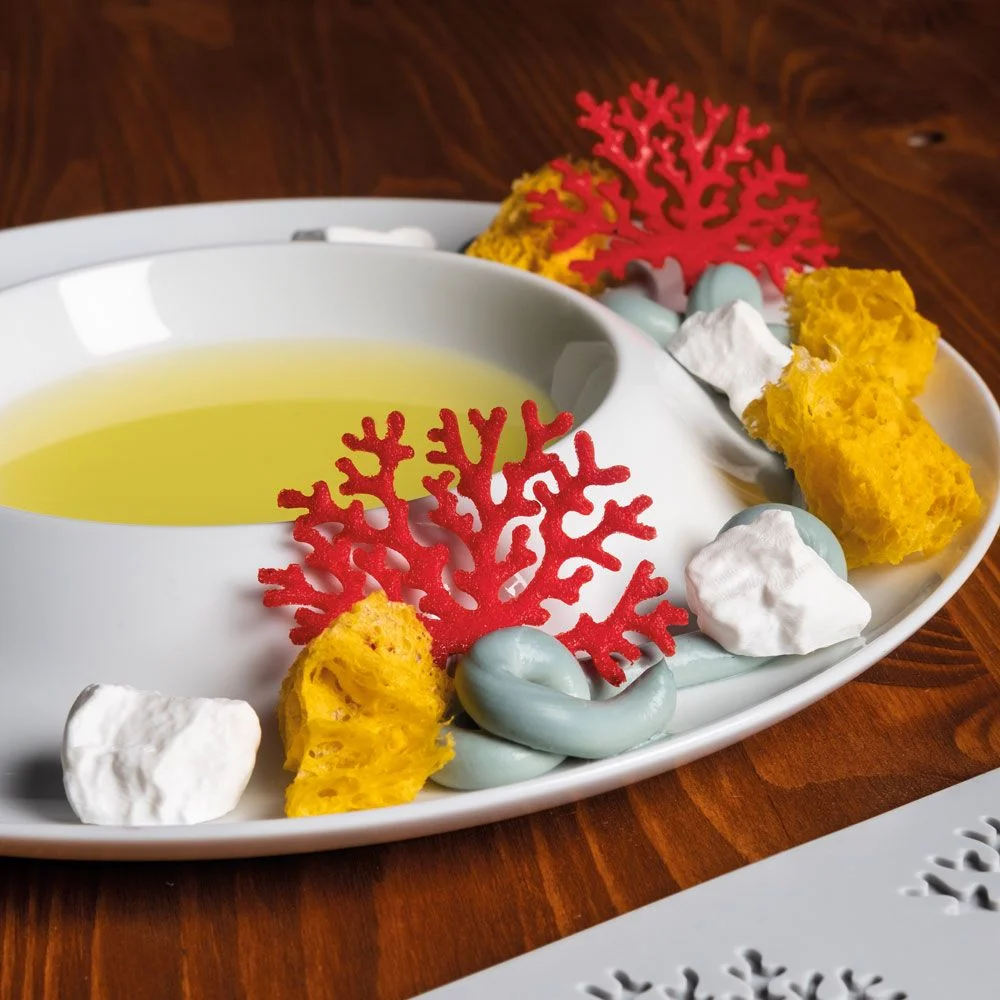 Pavoni GOURMAND silicone mould 300x200 GG027S CORAL 04