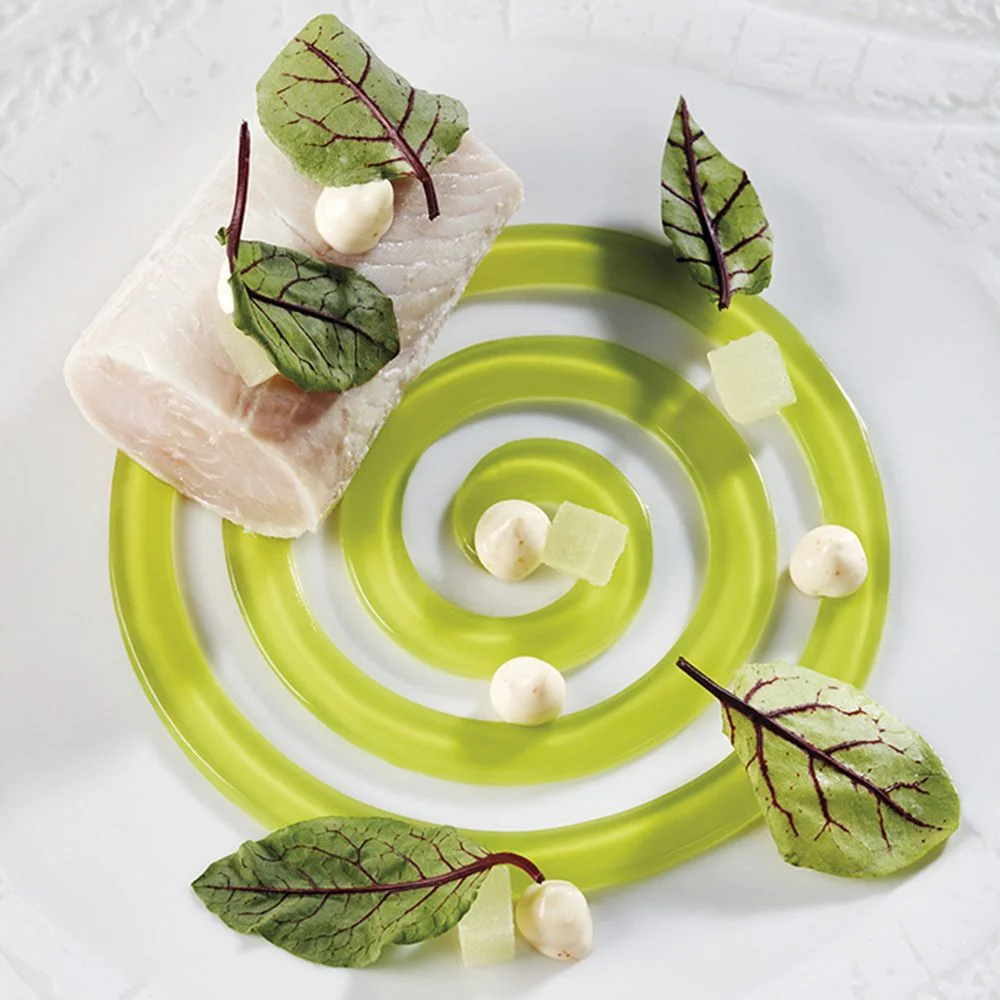 Pavoni GOURMAND silicone mould 400x300 GG005S SPIRALE 15