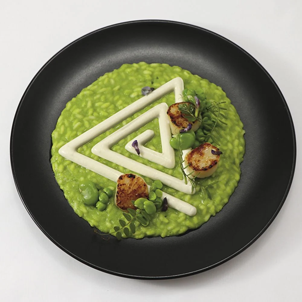 Pavoni GOURMAND silicone mould 400x300 GG009S SPIRALE TRIANGOLO25