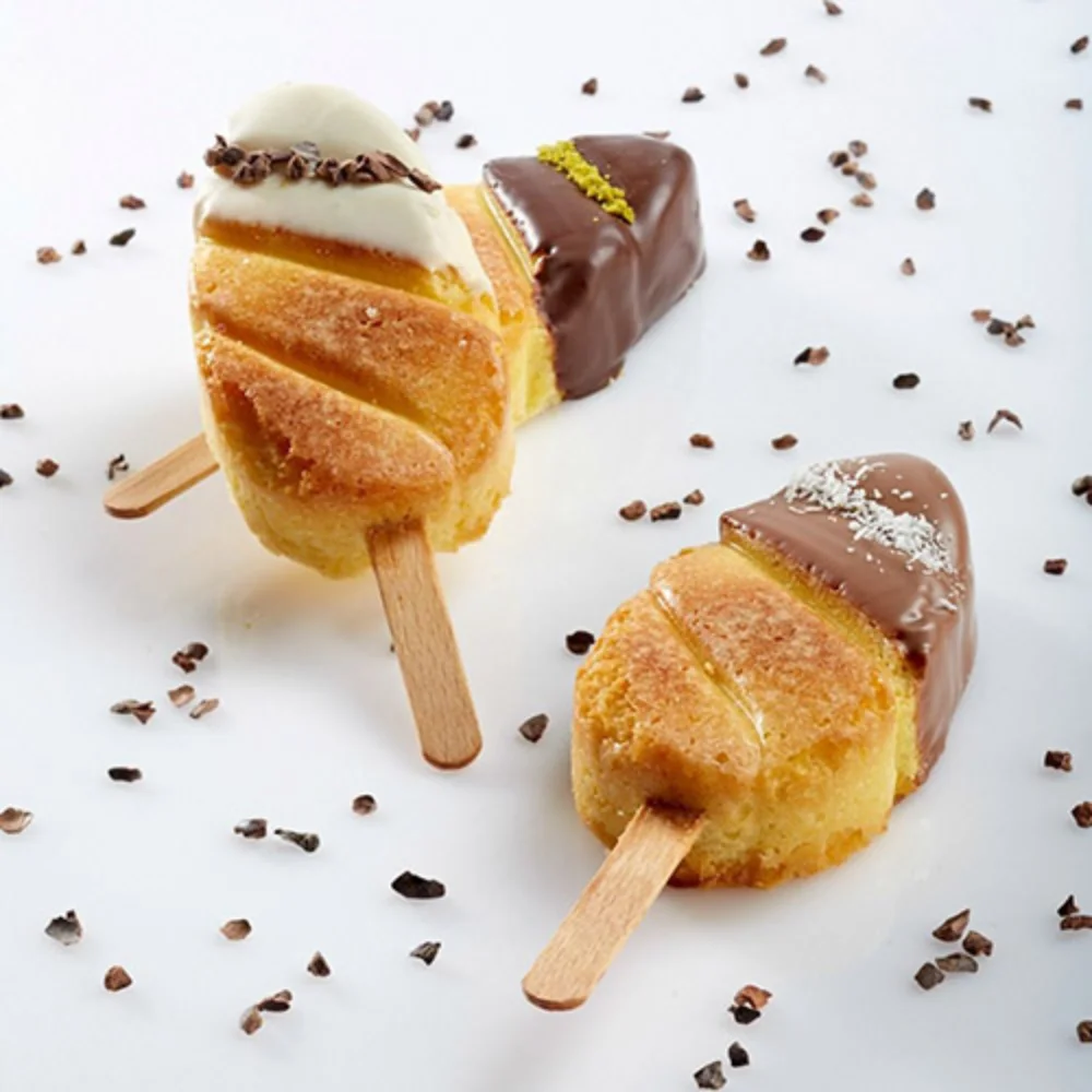 Pavoni PavoGel Mould 115x195mm PL06 MALIBU 35