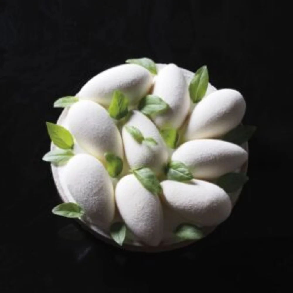 Pavoni Pavoflex 600x400 PX073 QUENELLE T 34