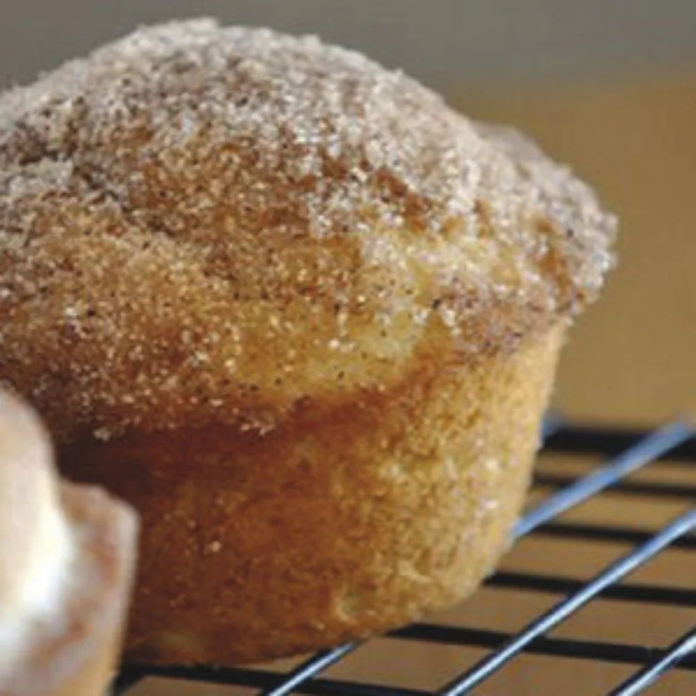 Pavoni Pavoflex silicone mould 600x400 PX002 MUFFIN 130