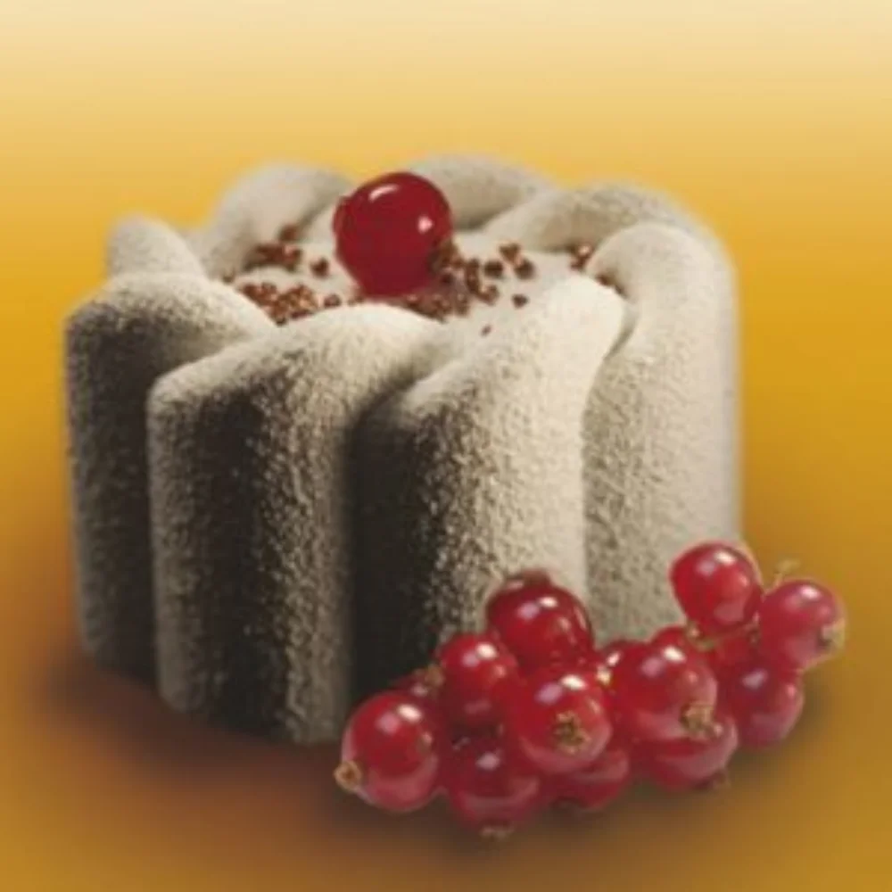 Pavoni Pavoflex silicone mould 600x400 PX040 INTRECCIO 130