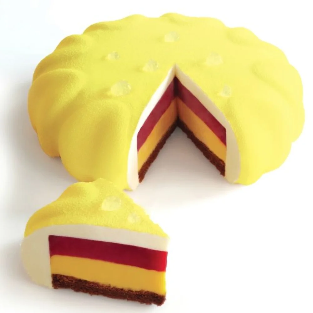 Pavoni Pavoflex silicone mould 600x400 PX076 INSERT 140